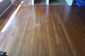 wooden floor sanding Katikati
